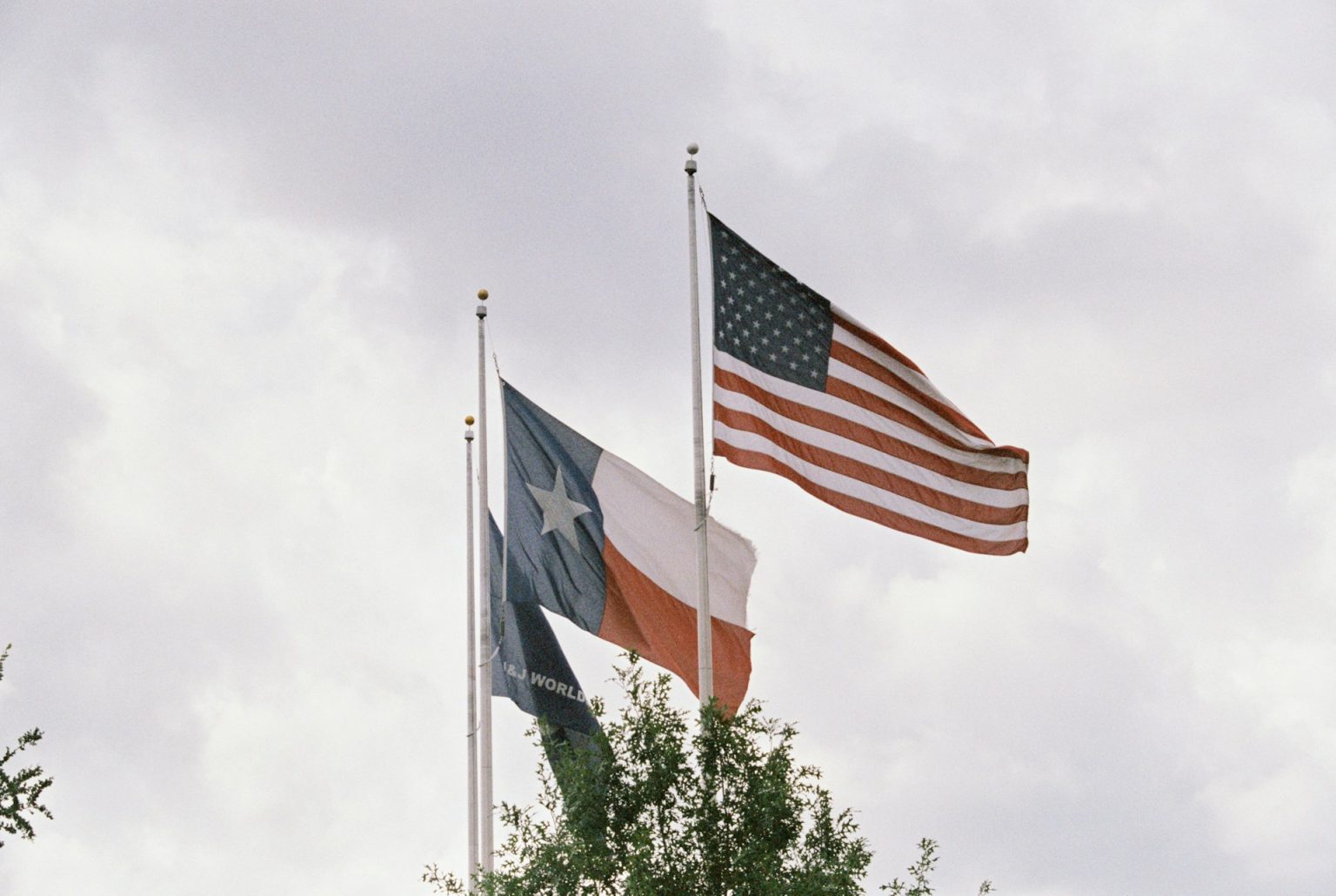 Wild Boar Behavior and Habitat Insights in Texas